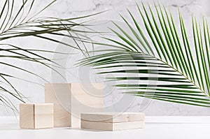 Natural style for cosmetics product display - wooden podiums with green palm leaf, shadow in sunlight on white wood table and grey