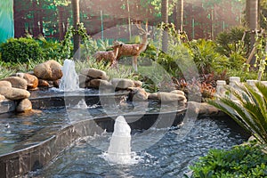 Natural style water scene,Small garden waterscape design