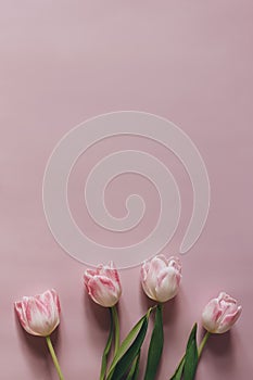 Natural styled stock photo. Feminine Easter, spring composition with tulips on pink table, wall background. Floral frame