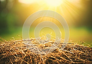 Natural summer background. hay and straw in sunlight