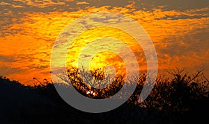 Natural Sunset Sunrise Over Field Or Meadow. Bright Dramatic Sky