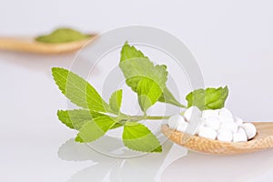 Stevia Sweetener Pills - Stevia rebaudiana