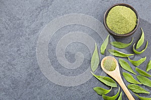 Natural sweetener in powder from stevia plant - Stevia rebaudiana