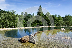 Natural swimming pond purifying water without chemicals through filters and plants