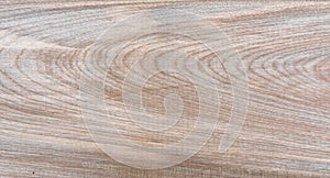 Natural Taiga birch wood grain texture pattern background