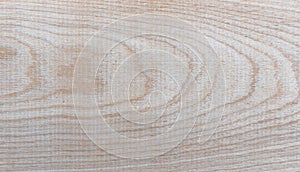 Natural Taiga birch wood grain texture pattern background