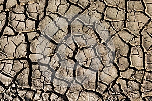 Natural texture. Closeup of wet cracked ground