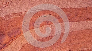 Natural texture, cork tree background