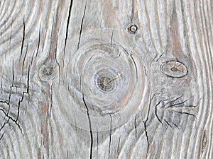Natural texture of gray old pine board