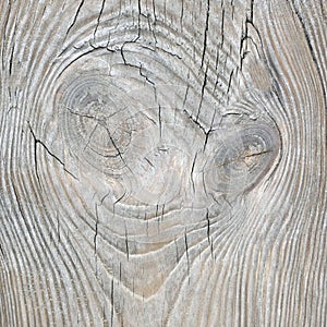 Natural texture of gray old pine board