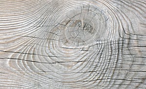 Natural texture of grey old pine board