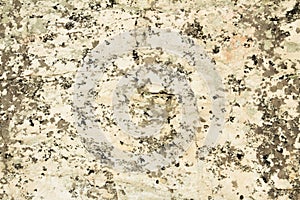 Natural texture of light-colored stone covered with variegated stains
