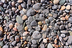 Natural texture of multi-colored oval pebbles that evenly cover the sea beach