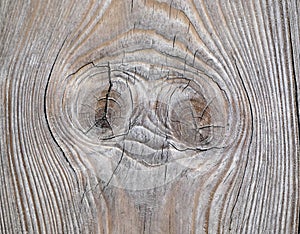 Natural texture of old pine board