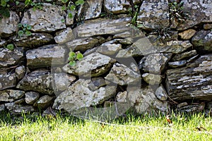 Natural texture of stone wall. Stone wall with green grass.Stone wall background with green grass
