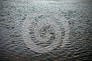 Natural texture, waviness and ripples on transparent water of river, selective focus