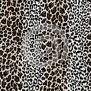 Natural textured leopard skin