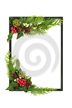 Natural Traditional Christmas Winter Flora Greenery Background