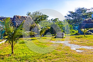 Natural tropical way walking path jungle nature palm trees Mexico