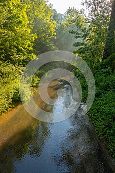 Natural Tuscan landscape with a river in the wood, at early morning in June 2019, Italy