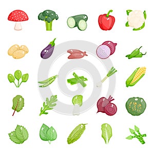 Natural Vegetables Flat Vectors Pack photo