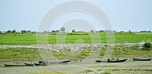 natural view of Bangladesh, boat in the rive bank and green rice field