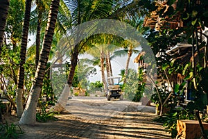 Natural View of Beautiful Holbox in Mexico. taxi at sunset