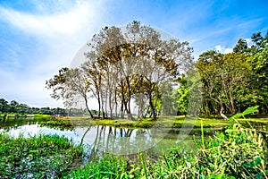 Natural view of Huay Tueng Thao Lake