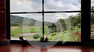 Natural view from inside the cafe