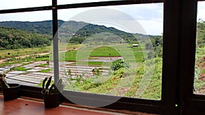 Natural view from inside the cafe