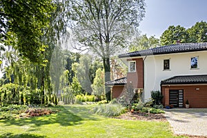 Natural view of trees and garden of modern house