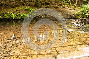 Natural view of water running over concrete roadblocks in a forest