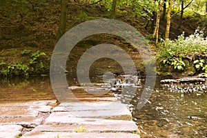 Natural view of water running over concrete roadblocks in a forest photo