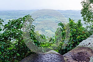 Natural Viewpoint on The Cliff of Wat Pa Phu Pha Sung