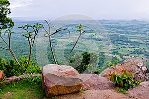 Natural Viewpoint on The Cliff of Wat Pa Phu Pha Sung