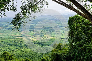 Natural Viewpoint on The Cliff of Wat Pa Phu Pha Sung