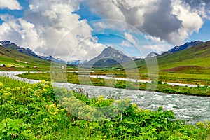 Natural views of mountains and streams In the summer, there are green grass and wildflowers