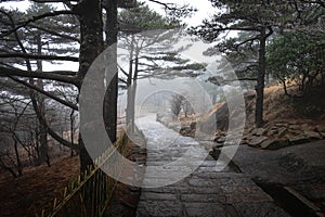 The natural walk way on the Huangshan mountain in the winter season, Anhui Province in eastern of China