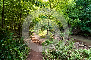 A natural walking path next to Nine Mile Run in Frick Park, Pittsburgh, Pennsylvania, USA