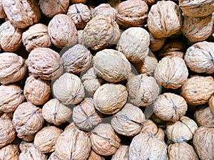 Natural walnut background pattern texture Abstract walnuts heap background