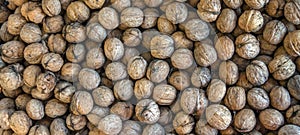 Natural walnut background pattern texture Abstract walnuts heap pattern background Blurred edges frame Natural food in-shell nuts