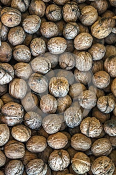 Natural walnut background pattern texture Abstract walnuts heap pattern background Blurred edges frame Natural food in-shell nuts