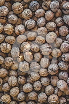 Natural walnut background pattern texture Abstract walnuts heap pattern background Blurred edges frame Natural food in-shell nuts