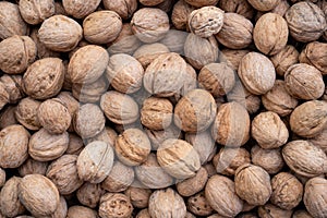 Natural walnut background pattern texture Abstract walnuts heap pattern background Blurred edges frame Natural food in shell nuts