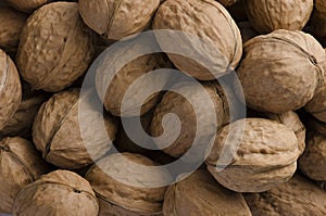 Natural walnut background pattern texture. Close up photography