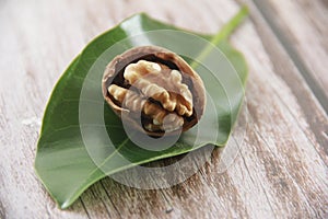 Natural walnut in a hard brown shell