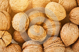 Natural Walnuts in shell background dramatic contrast