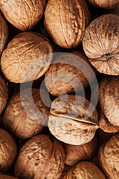 Natural Walnuts in shell background dramatic contrast