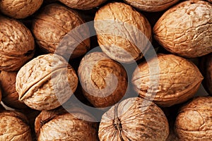 Natural Walnuts in shell background dramatic contrast
