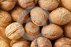 Natural Walnuts in shell background dramatic contrast